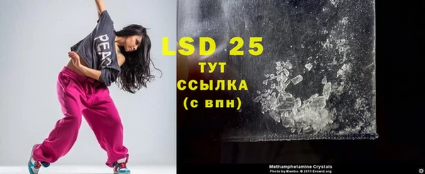 PSILOCYBIN Верхний Тагил