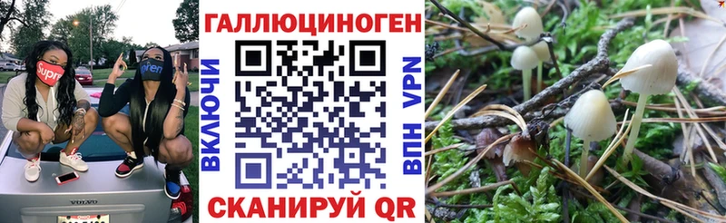 Псилоцибиновые грибы мицелий  что такое   блэк спрут ССЫЛКА  Сочи 